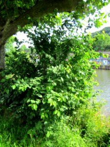 20130702Staden