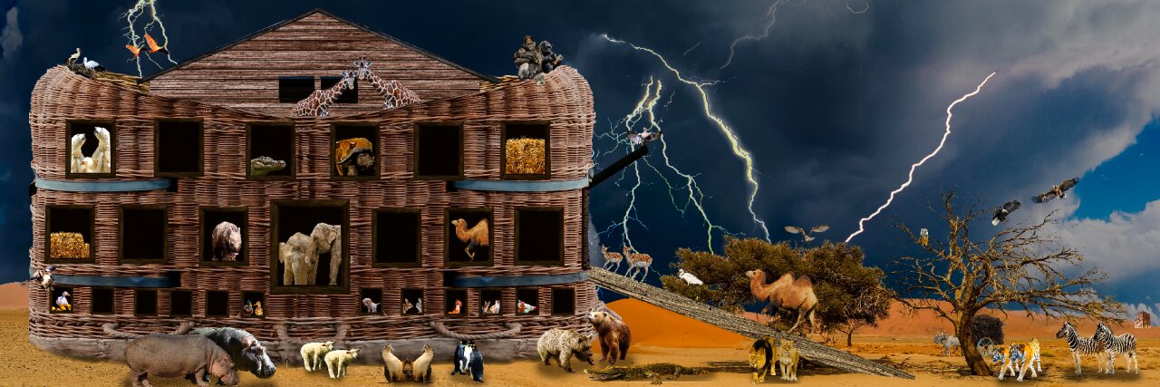 Ark archenoah bible