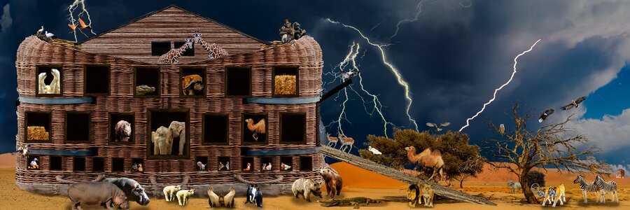 Ark archenoah bible