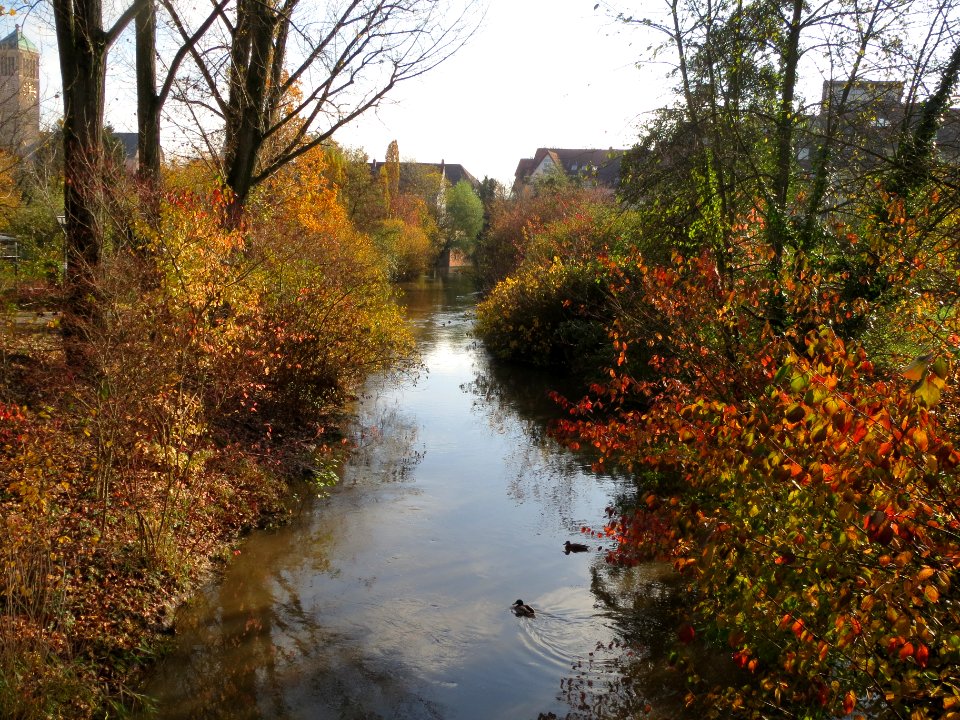 20131111Kraichbach_Hockenheim