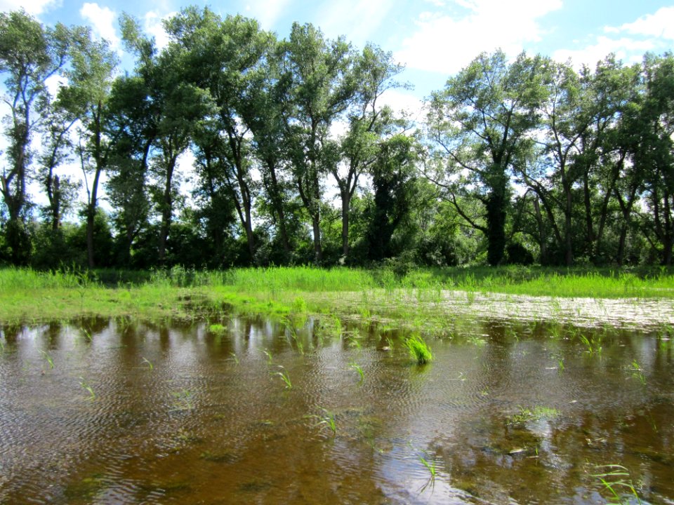 20130623Rueckhaltebecken_Wagbach2