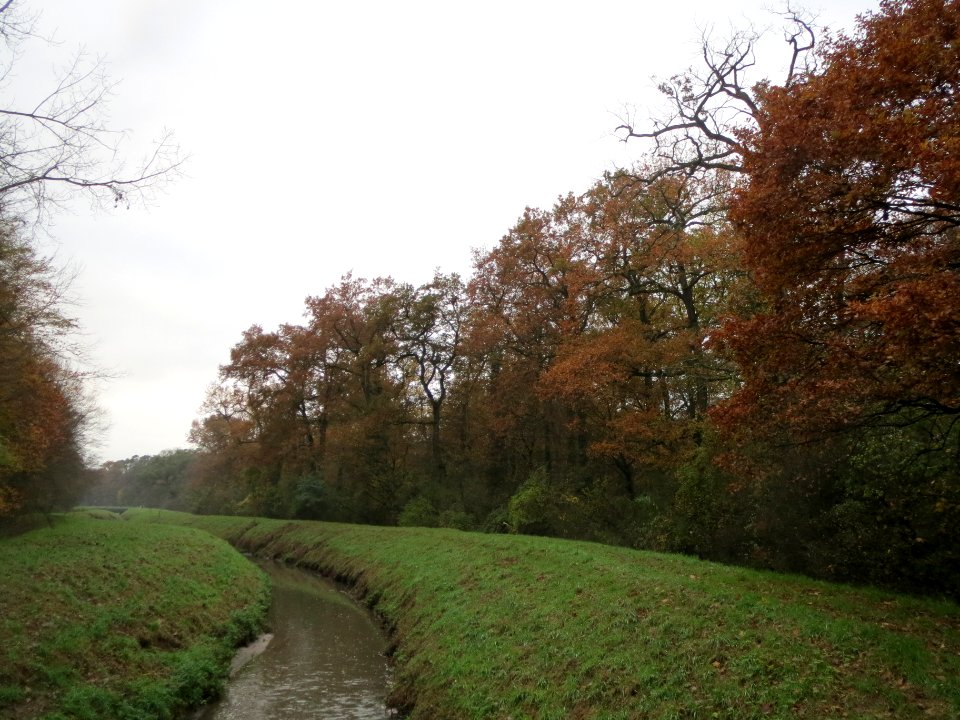 20131113Schwetzinger_Hardt9
