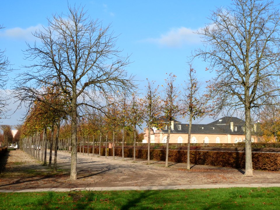 20131115Querallee_Schwetzingen