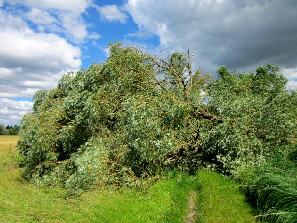 20130621Sturmschaden_Leopoldswiesen2