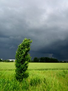 20130625Regen_Hockenheimer_Rheinbogen2