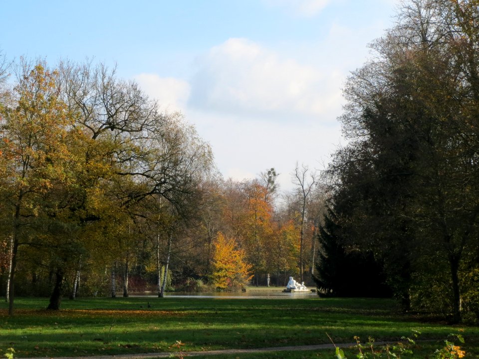 20131115Grosser_Weiher_Schwetzingen