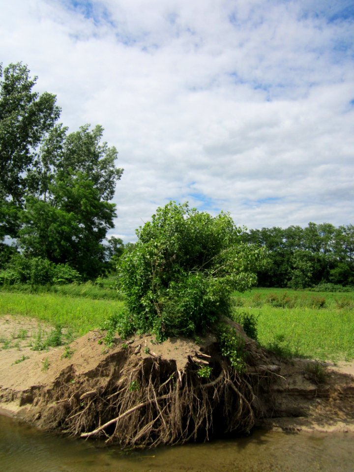20130623Kriegbach_Altlussheim
