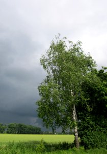 20130625Regen_Hockenheimer_Rheinbogen3