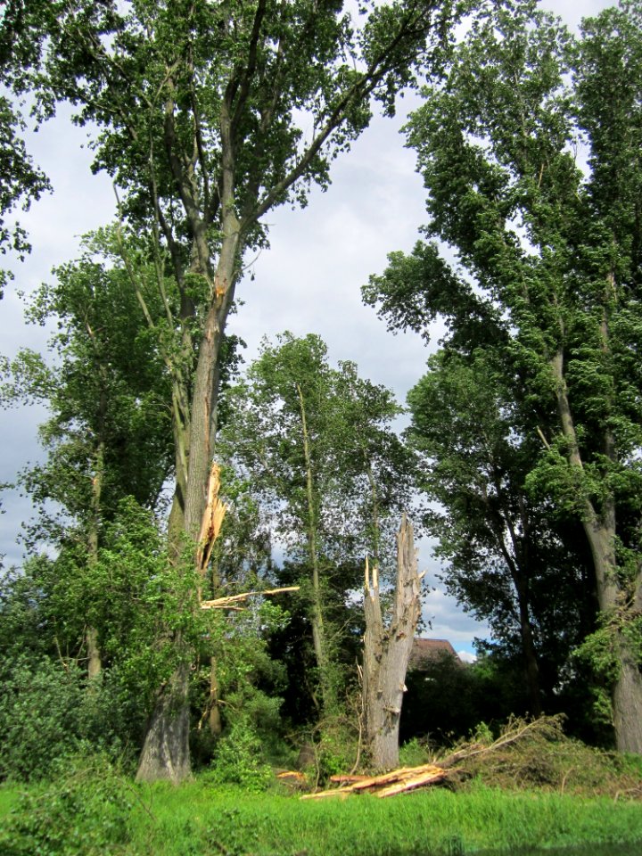 20130621Sturmschaden_Krauchbach1