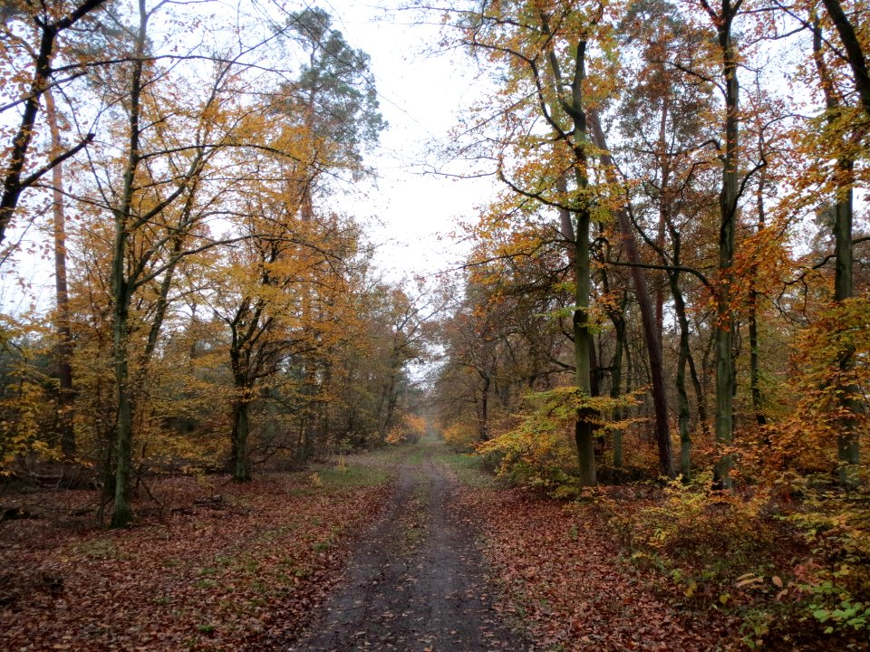 20131113Schwetzinger_Hardt5