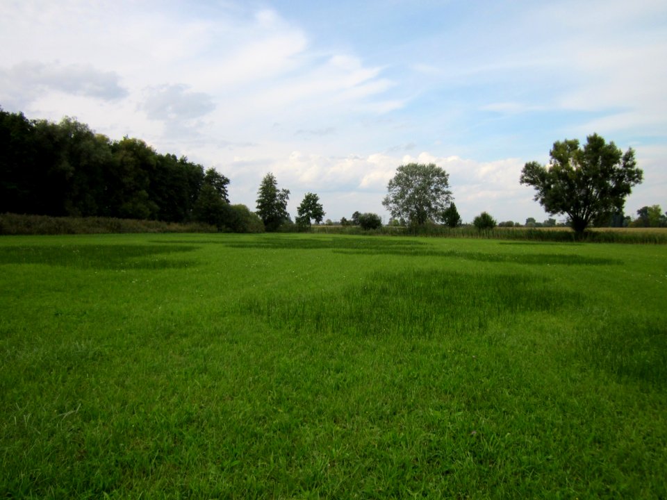 20120918Bachwiesen_Hockenheim1