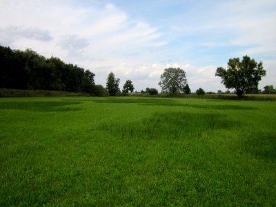 20120918Bachwiesen_Hockenheim1