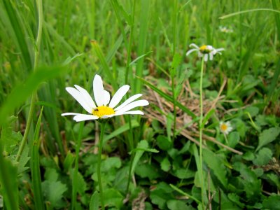 20120918Bachwiesen_Hockenheim7