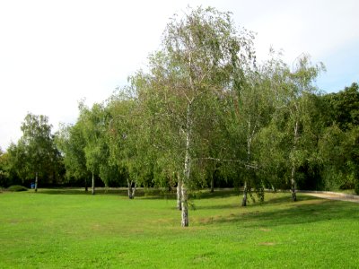 20120918Birken_Hockenheim2