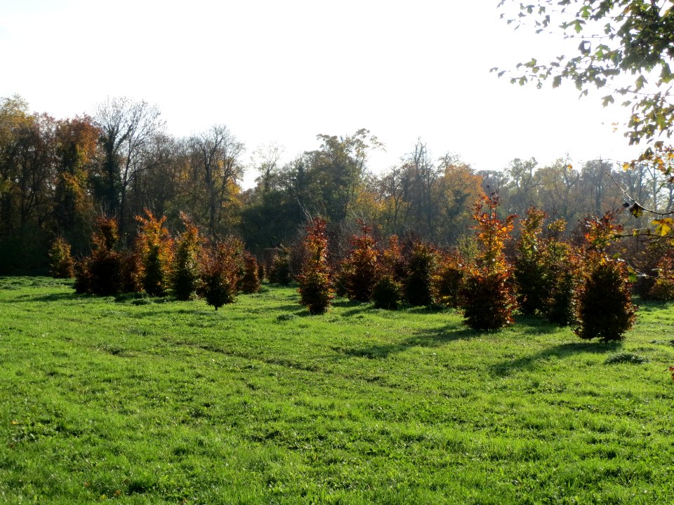 20131115Schlossgartengaernerei