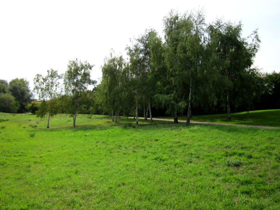 20120918Birken_Hockenheim5