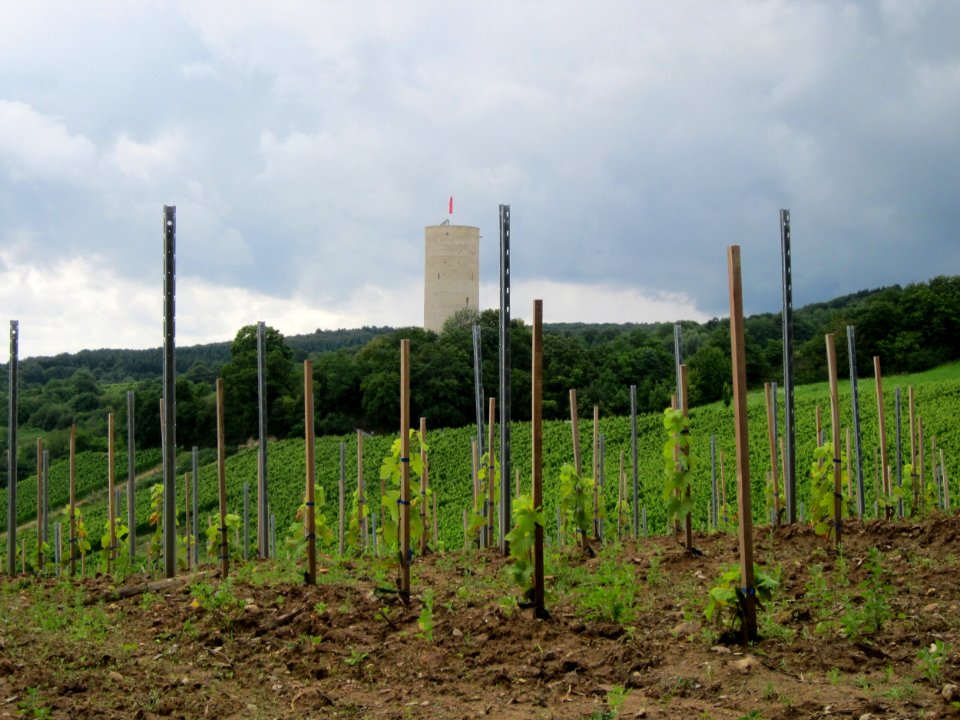 20120728Scharfenstein01