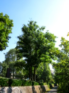 20120914Esche_Saar_Saarbruecken9