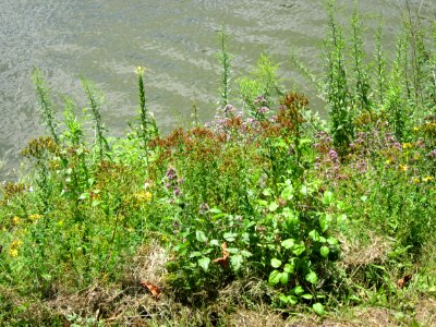 20120722Saar_Saarbruecken2