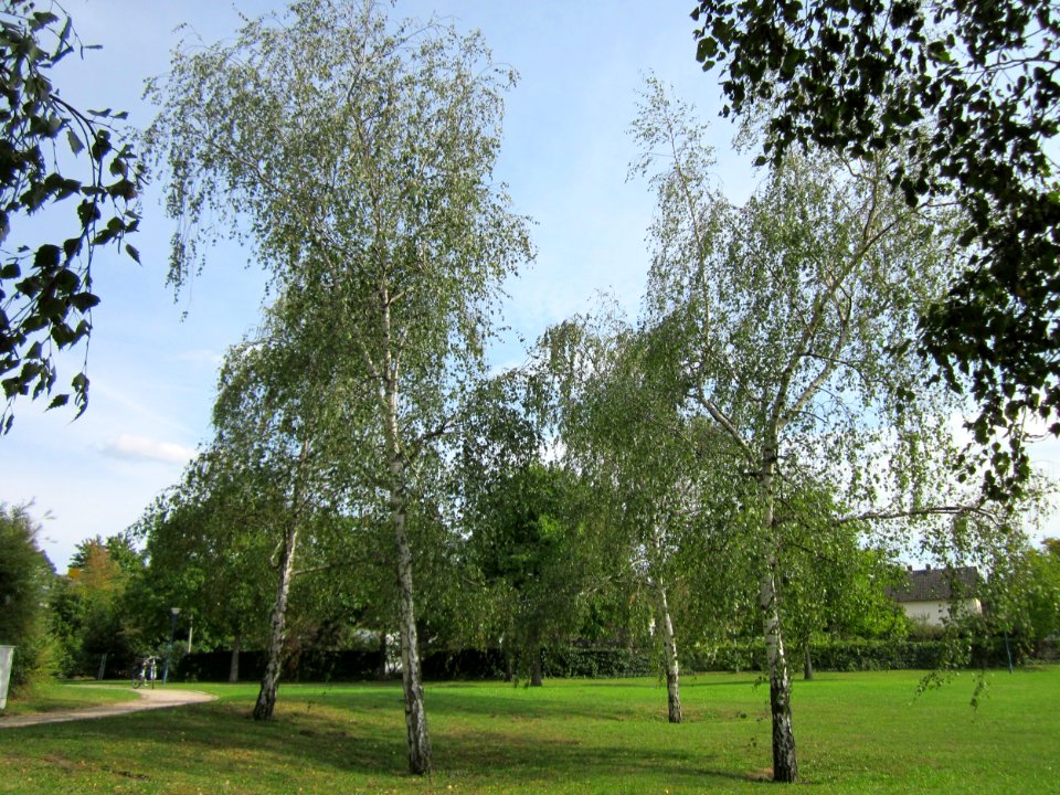 20120918Birken_Hockenheim3