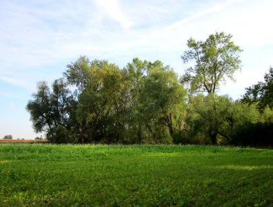 20120921Tongruben_Siegelhain01