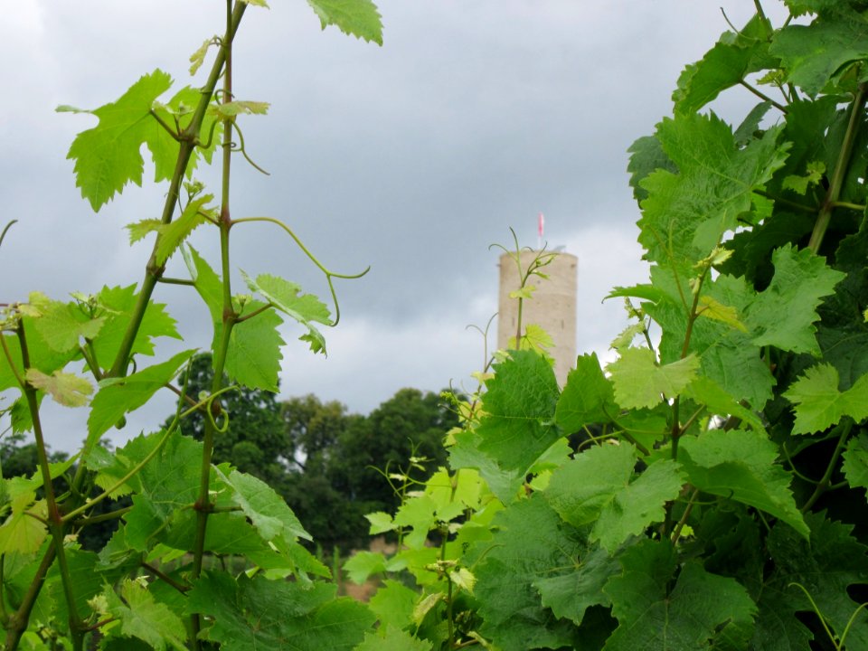 20120728Scharfenstein02