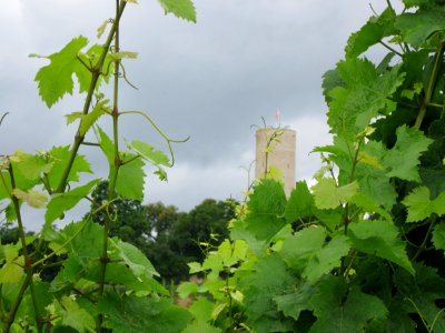 20120728Scharfenstein02