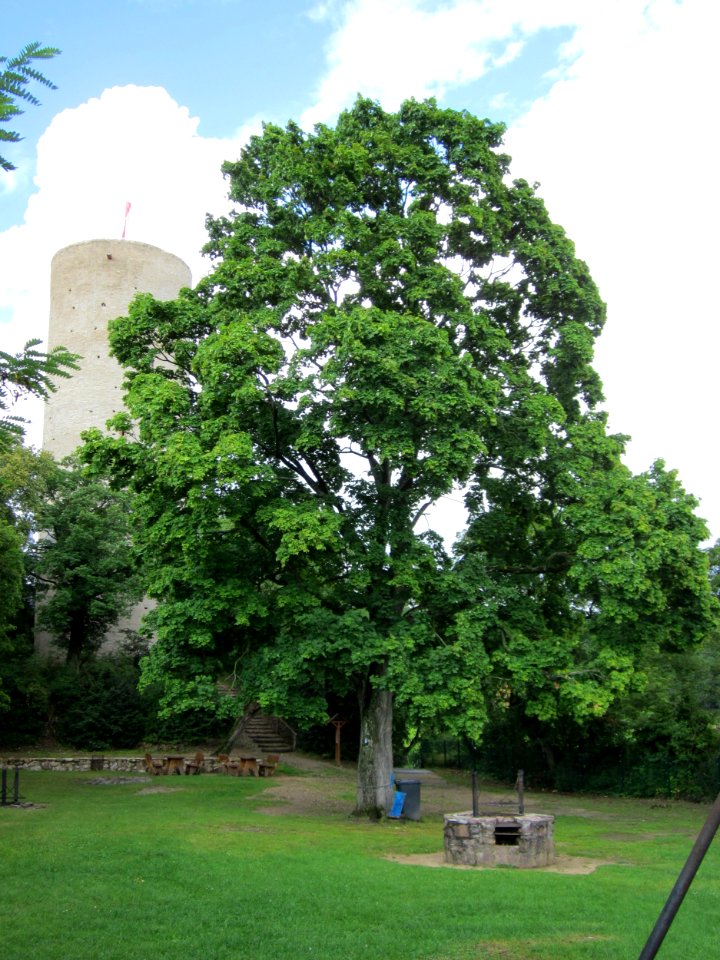 20120728Scharfenstein06