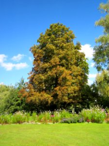 20120919Ebertpark_Hockenheim07 photo