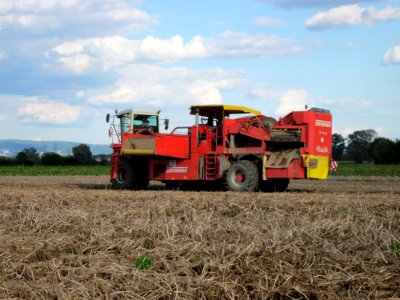 20120919Kartoffelernte_Hockenheim5