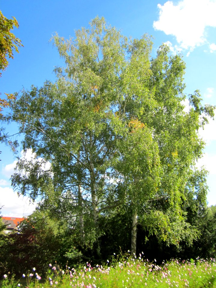20120919Ebertpark_Hockenheim02