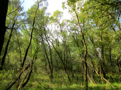 20120921Tongruben_Siegelhain08