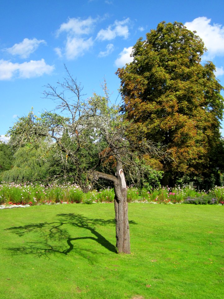 20120919Ebertpark_Hockenheim06
