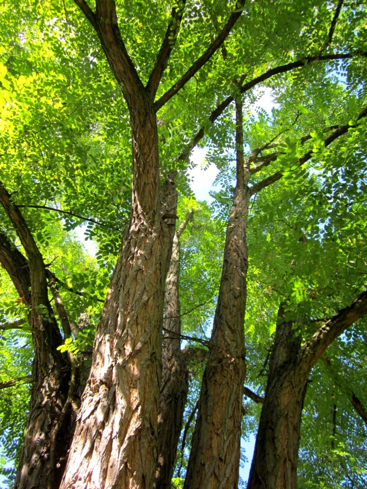 20120919Ebertpark_Hockenheim10