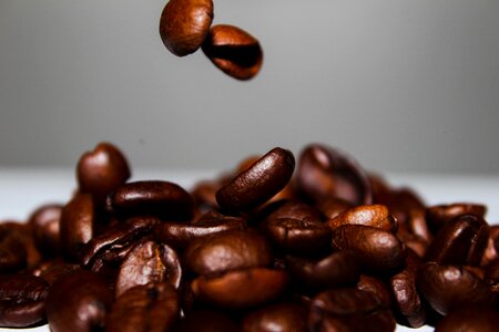 Falling coffee beans gravity photo