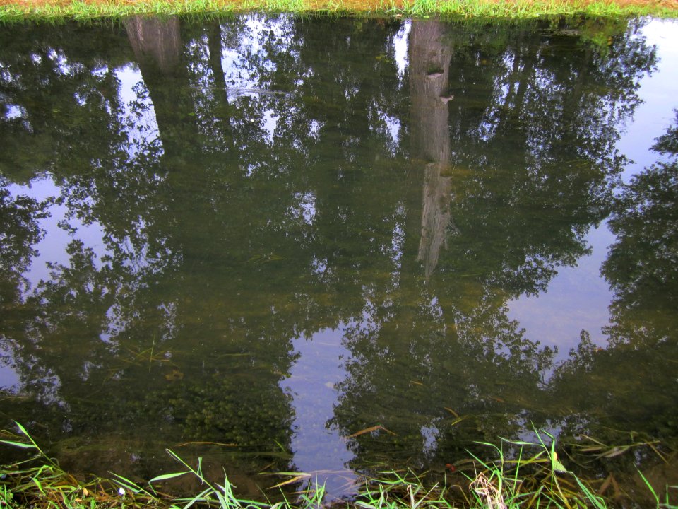 20120921Alter_Kraichbach_hinter_den_Bergen8