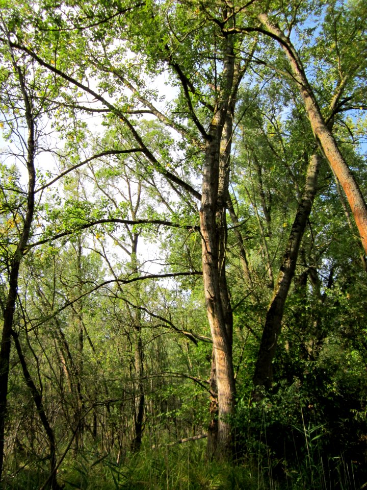 20120921Tongruben_Siegelhain06
