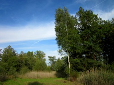 20120921Tongruben_Siegelhain12