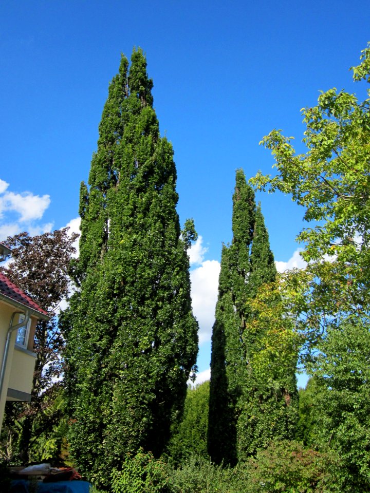 20120919Ebertpark_Hockenheim11
