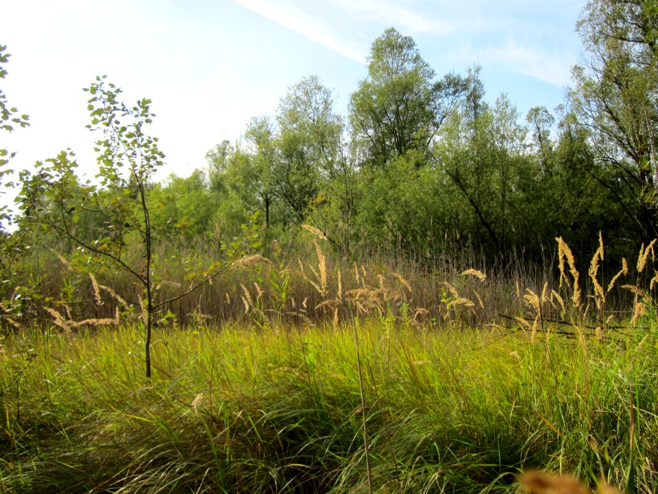 20120921Tongruben_Siegelhain04