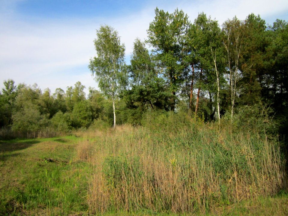 20120921Tongruben_Siegelhain11
