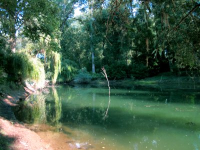 20120909Rheinauen_Altlussheim5