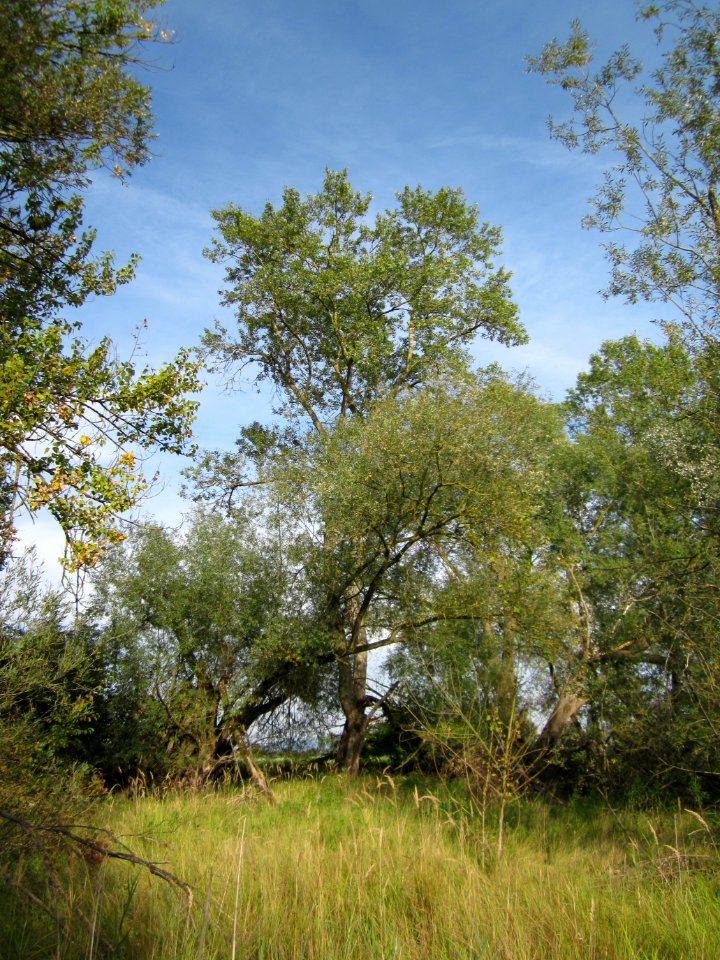 20120921Tongruben_Siegelhain05