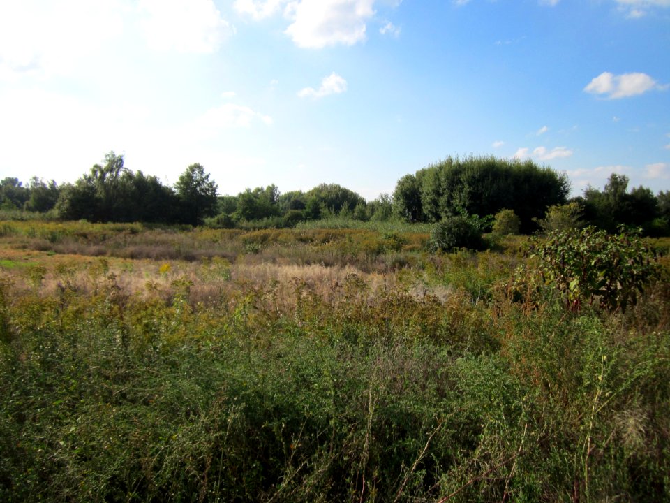 20120922_Roter_Bruch_Walldorf01