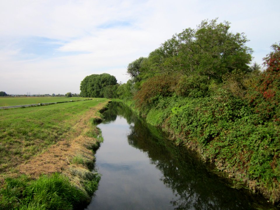 20120921Alter_Kraichbach_hinter_den_Bergen1