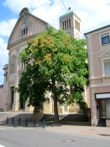 20120817Goetterbaum_St_Geor_Hockenheim1