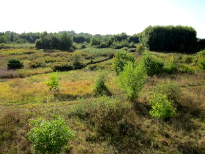 20120922_Roter_Bruch_Walldorf02