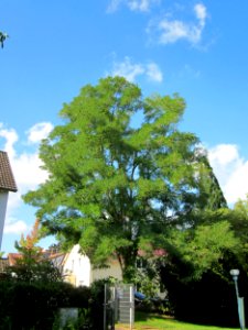 20120919Ebertpark_Hockenheim08