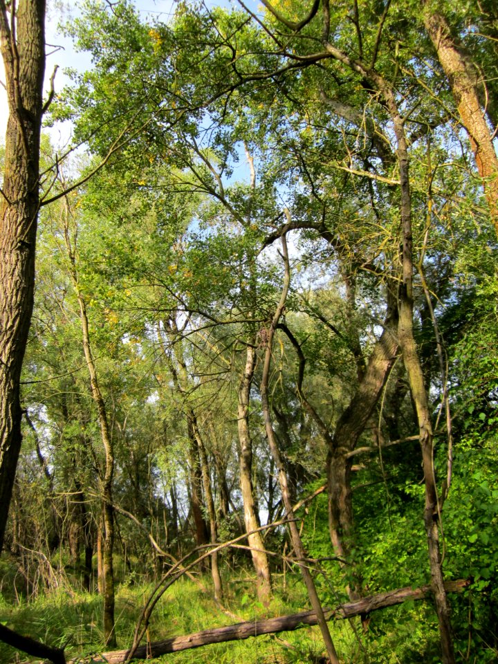20120921Tongruben_Siegelhain07