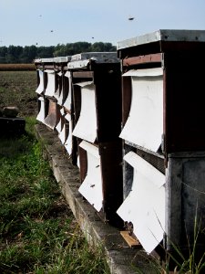 20120921Tongruben_Siegelhain17